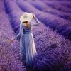 AROMATHERAPY CORITO (Lavanda) - immagine 4